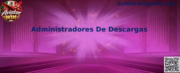 Administradores De Descargas y gestión segura de archivos