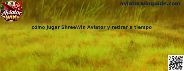 Guía sobre cómo jugar ShreeWin Aviator y retirar a tiempo