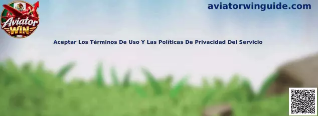 Información sobre términos de uso y políticas de privacidad del servicio